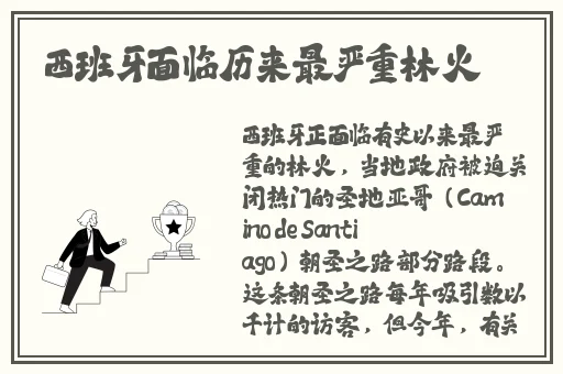 中国高清windows视频软件下载
